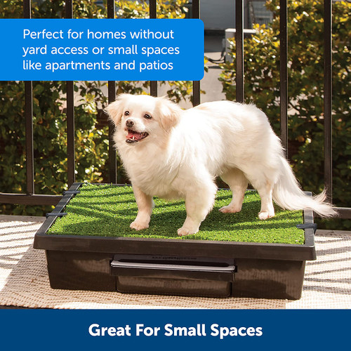 PetSafe Pet Loo Portable Dog Potty, Alternative to Puppy Pads - Small PWM00-14497