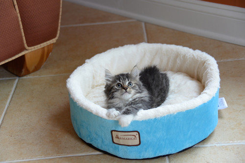 Armarkat Cat or Dog Bed Laurel Beige Sky Blue & Ivory C12HTL/MB