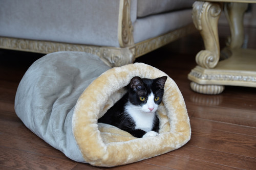 Armarkat Cat or Dog Bed Laurel Sage Green & Beige C15HHL/MH