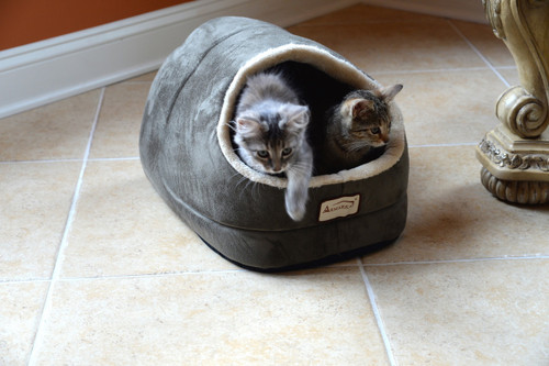 Armarkat Cat or Dog Bed Laurel Sage Green & Beige C18HHL/MH