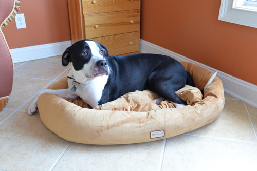 Armarkat Small Dog or Cat Pet Bed Brown D02CZS-S