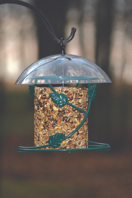Hanging Seed Cylinder Bird Feeder in Green SCF Seed Cylinder