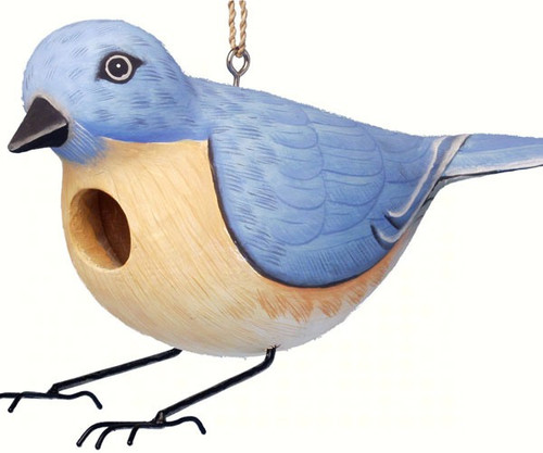 Songbird Essentials Eastern Bluebird Birdhouse SE3880115