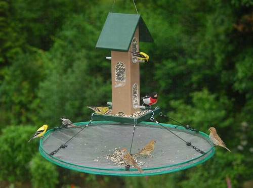 Songbird Essentials Seed Hoop 30 in Seed Cathcher Platform Bird Feeder SeedHoop SEIA13921