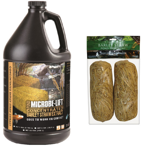 Microbe-Lift Barley Straw Extract 1 gal. MLCBSEG4 + 2 Barley Straw Bales