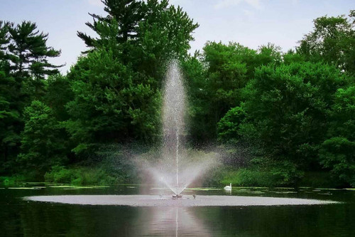 Scott Aerator Skyward Fountain 1/2 HP 115V With 70 ft. of Power Cord Model 13005