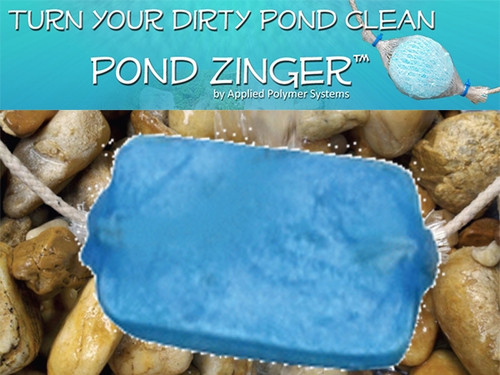 APS Pond Zinger Mini Pond Log Green Water Clarifier of Water  Fish & Plant Safe

Pond Logs, Mini Pond Logs, and Pond Zingers are designed to work in flowing conditions. As water moves over and around the log, it slowly dissolves, releasing its components into the water column causing excess inanimate nutrients, such as phosphorous, to bind together. As they bind together, the particulate gets heavier and heavier and then settles to the bottom of the pond or is filtered out.

It is important to note that Pond Logs do not remove all the inanimate nutrients, just enough to create a healthy ecosystem. Our pond products typically see a 75-90% reduction of phosphorus. 

All APS products are safe for fish; no need to monitor pH.
