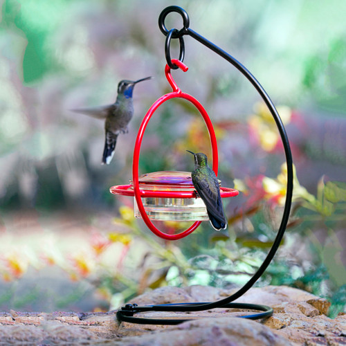 Couronne Sphere Hummingbird Feeder With Perch & Stand