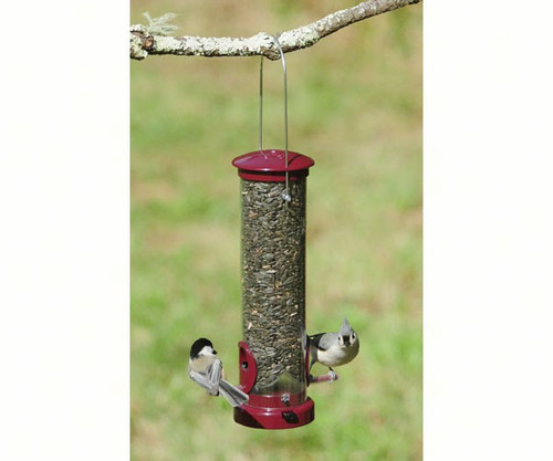 Aspects 442 Seed Tube Bird Feeder Small Berry ASPECTS442