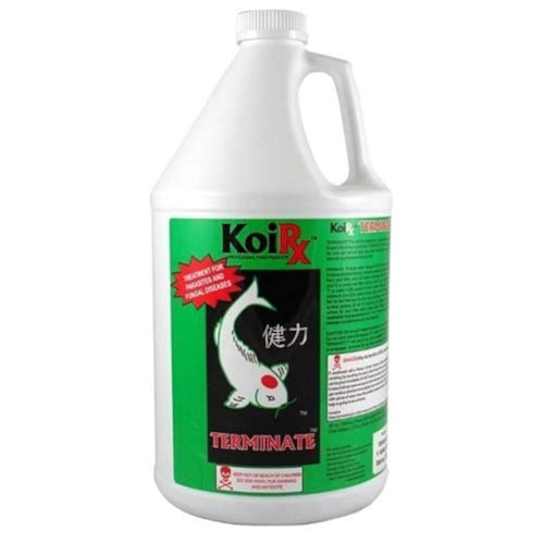 Aqua Meds Terminate Fungal Infection Fish Treatment 1 gal. TERM128 78039