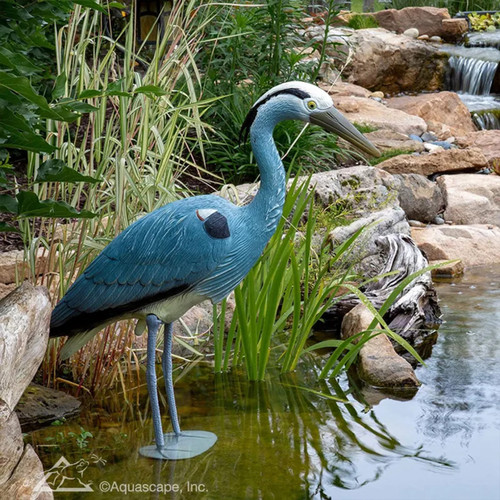 Aquascape 81030 Blue Heron Bird Decoy for Pond, Waterfall, Landscape, and Garden Features,Gray