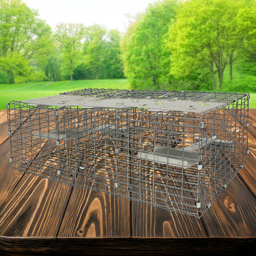 Troyer's Birds' Paradise Wire Sparrow Trap
Prevent sparrows from overtaking your martin colony using this Troyer's Birds' Paradise Wire Sparrow Trap. This triple compartment, bait style trap quickly and safely captures live birds and detains them, for you to control them as necessary. The all wire frame with rectangular grid creates an easy-to-monitor trap, and the spring loaded, aluminum trays make baiting the item simple. Flip the doors of the outer compartments upward, and place millet, bread, or cracked corn onto the tray. When an English sparrow puts its weight on this tray, the door snaps closed, capturing it. The bird will typically use the small, one way door at the back of the chamber to try and escape. This leads to a center holding compartment, so you can reset the trap and use the ensnared bird as a decoy. The trap can be placed on a platform or affixed to a pole with clamps (not included), and a top handle aids in transporting the captured birds off property. Always verify the captured species, as it is illegal to trap native North American birds. Control English sparrows in your area with this Wire Sparrow Trap.