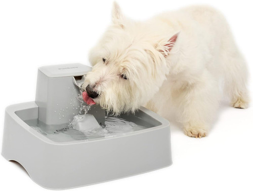 
PetSafe Drinkwell Cat Water Fountain - Automatic Dog Water Bowl - Great for Multiple Pets - Pump and Water Filter Included - Dishwasher Safe - Easy Clean