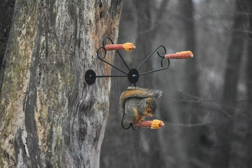 Squirrel Spinner Corn Cob Feeder (SQSP)