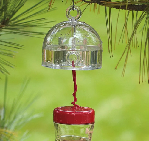 Detour Ant Moat For Hummingbird Feeders
