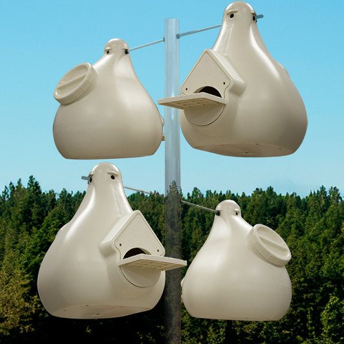 Wild Bird Lover's Deluxe Purple Martin Gourds. Pack of 4