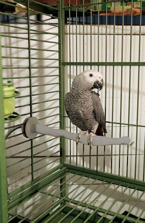 K&H Manufacturing Thermo Perch large KH9012