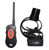 DT Systems H2O 1 Mile Remote Trainer with Beeper H2O-1850