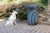 Pawz Away The Rock  Outdoor Pet Barrier  PWF00-11923