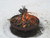 Fancy Fire Pit Corona 14"x37"
