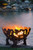 The Fire Pit Gallery "Forest Fire" Custom Fire Pit 37"