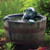 Aquascape Man in Barrel Spitter Fountain 78315