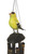 Cohasset Imports American Goldfinch Wind Chime