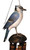 Cohasset Imports Blue Jay Wind Chime