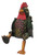 Cohasset Imports Lucky 9 in Textured Rooster Wind Chime