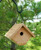 Woodlink Traditional Wren House