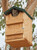 Songbird Essentials Screech Owl House