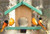 Songbird Essentials Oriole Feeder Cedar