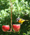 Songbird Essentials Double Apple Feeder