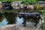 Aquascape Naughty Dog Fountain Spitter 78310