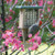 Suet Feeder with Tail Prop for Single Cake in Taupe and Green Recycled Plastic SNTP