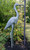 Achla Great Blue Heron Statue
Bring a hint of wildlife to your garden or water feature with the Achla Great Blue Heron Statue. This dramatic figure features a blue heron, with a straightforward gaze and tall neck. Detailing on the body, neck, and legs of the unit add a realistic look, while the verdigris finish lends an antique feel. Use this statue as a decoy to prevent other large birds from visiting your pond, or place it in your garden to help entice smaller birds to roost there. The two included lawn stakes keep the statue securely anchored to the ground, for a stable accent. The cast aluminum construction adds weight to the item, and will easily withstand the elements for years to come. Create interest in your pond using this Great Blue Heron Statue.
