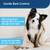 PetSafe Single Room Indoor Dog Bark Control (2 pack) PBC00-14661