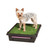 PetSafe Pet Loo Portable Dog Potty, Alternative to Puppy Pads - Small PWM00-14497