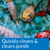 API Pond Care Simply Clear 16 oz.  Fast Acting Beneficial Bacteria Pond Clarifier 248B