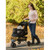 Pet Gear Special Edition NO-ZIP Pet Stroller GOLD MONOGRAM PG8250NZGM