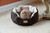 Armarkat Cator Dog Bed Mocha & Beige C01HKF/MH 