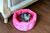 Armarkat Cat or Dog Bed Pink C03CZH