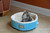 Armarkat Cat or Dog Bed Laurel Beige Sky Blue & Ivory C12HTL/MB