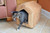 Armarkat Cat or Dog Bed Brown & Beige C27CZS/MH 