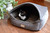 Armarkat Cat or Dog Bed 17" Silver & Bronze C34HHG/SH