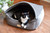 Armarkat Cat or Dog Bed 17" Silver & Bronze C34HHG/SH