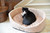Armarkat Cat or Dog Bed Light Apricot C35HFS/FS