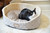 Armarkat Cat or Dog Bed Silver & Beige C35HQH/MH