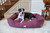 Armarkat Extra Large Dog or Cat Bed Burgundy D01FJH-X 