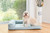 Armarkat Medium Memory Foam Dog or Cat Pet Bed Blue D08B